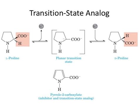 Enzymes