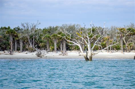 5 Reasons Edisto Beach Offers the Most Effortless Vacation