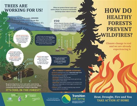 Forest Fire Prevention – Transition Salt Spring Society