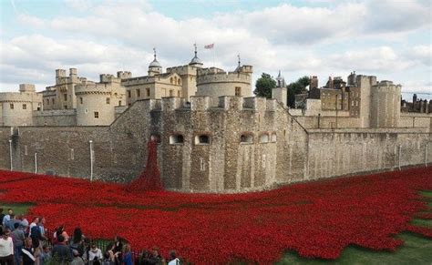 A Dramatic Field of Poppies at the Tower of London - London Perfect