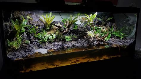 What is a Paludarium?!