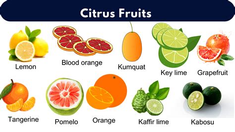 List of All Citrus Fruits | Citrus Fruits Name With Pictures - GrammarVocab