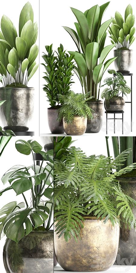 Plant Collection 361. luxury flowerpot, Philodendron, monstera, banana, palm grass, indoor ...