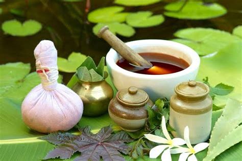 Ayurveda Medicines Have A Long – Lasting Effect - Susan Philmar