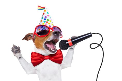 Dogs Singing Happy Birthday: A Fun And Adorable Trend In 2023 | Birthday Wishes for Someone Special