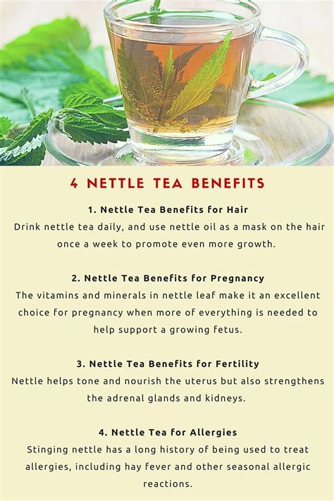 4 Amazing Nettle Tea Benefits | Les 4 c, The resistance