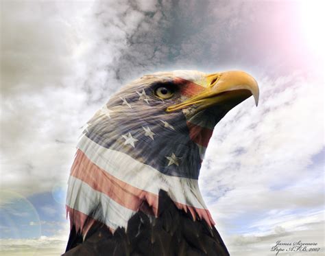 American Flag With Eagle Wallpaper (70+ images)