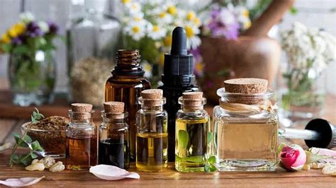 Terpenes & Essential Oils: What Are The Differences?