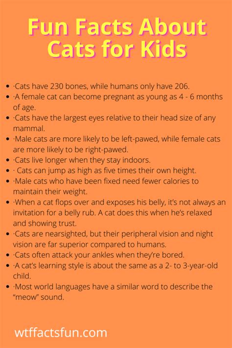 15 Best Fun Facts About Cats For Kids - Fun Facts