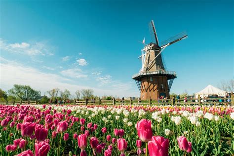 Windmill Island Gardens | Michigan