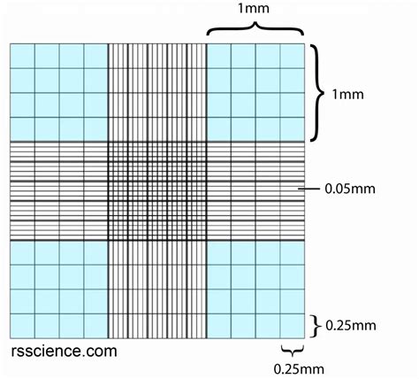 How to Use a Hemocytometer to Count Cells - Rs' Science