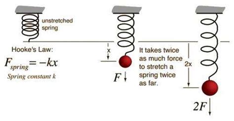 What is Hooke's Law?