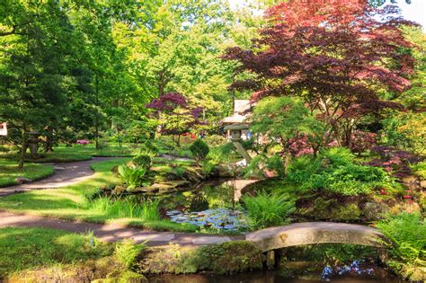 Japanese Garden In Spring - thehaguephoto