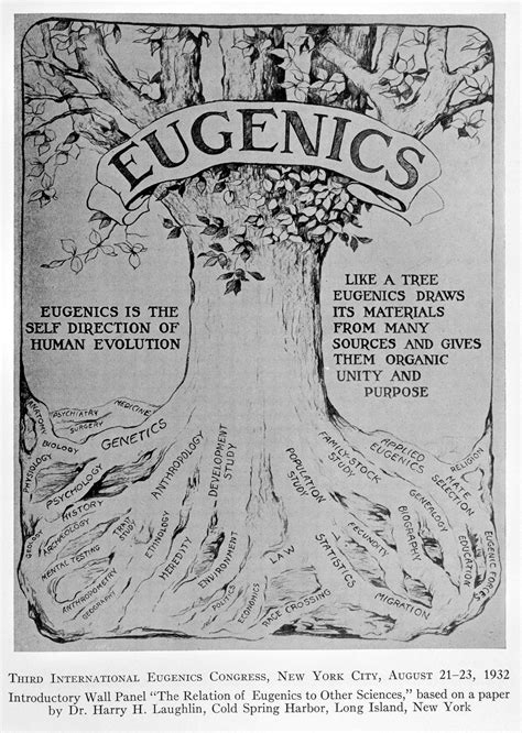 Reflecting on the legacies of eugenics - The Wiener Holocaust Library