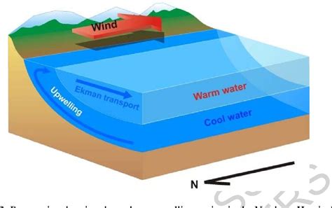 [PDF] Ocean Currents and Their Impact on Marine Life | Semantic Scholar