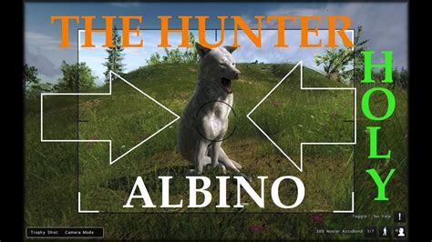 Albino Coyote AWESOME - YouTube