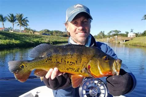 Florida Peacock Bass Record Falls After Nearly 30 Years! - Florida Sportsman