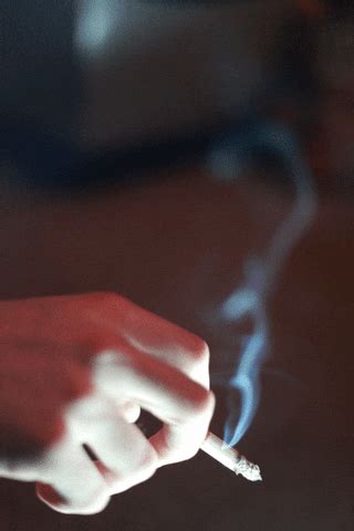 Holding Smoking Cigarette GIF | GIFDB.com