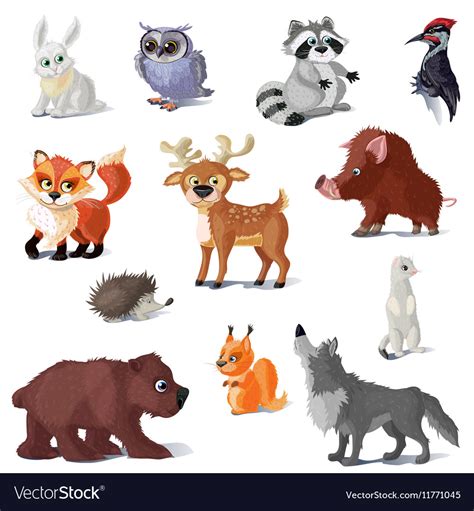 Cartoon forest animals set Royalty Free Vector Image