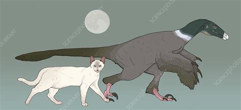 Balaur bondoc dinosaur, illustration - Stock Image - C027/5869 - Science Photo Library