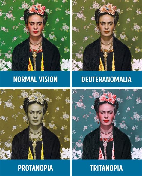 How People With Different Kinds of Color Blindness See the World ...