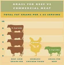 Grass Fed Beef Nutrition Comparison - Food Network B