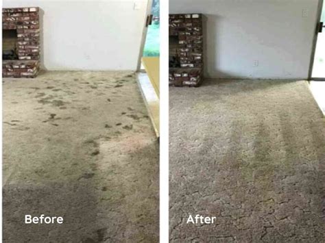 Incredible Photos of Before and After Carpet Cleaning -Sparkling and Beyond