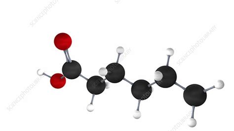 Hexanoic acid molecule - Stock Video Clip - K004/5868 - Science Photo ...