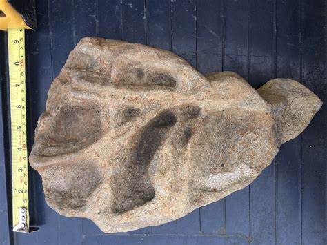 Dinosaur footprint? - Is It Real? How to Recognize Fossil Fabrications - The Fossil Forum