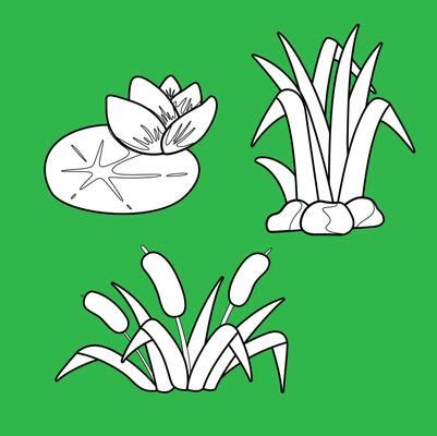 Pond Plants Vector Art, Icons, and Graphics for Free Download