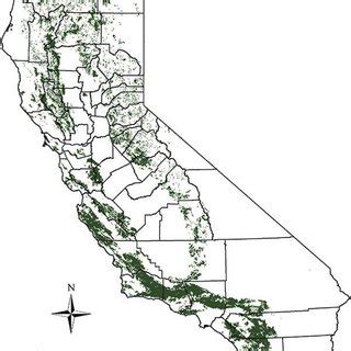 (PDF) California Chaparral and Its Global Significance