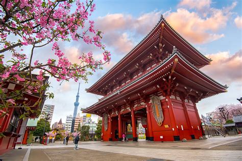 Sensoji Temple (Asakusa Kannon) - Asakusa Attractions in Tokyo - Go Guides