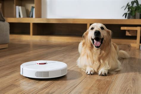 Dreame Begins Rollout of Next Generation Robot Vacuum Cleaner D9 with ...