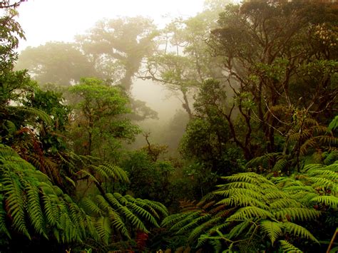 Costa Rica Top Ten - Monteverde
