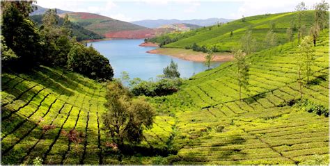 Avalanche Lake - Ooty