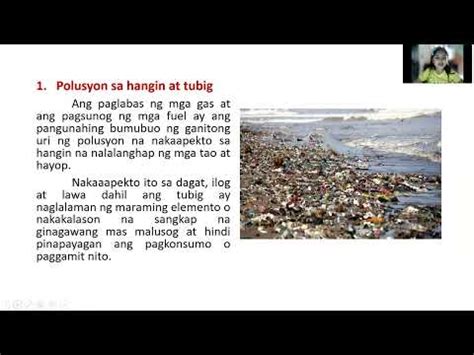 Polusyon sa dagat: mga pollutant, sanhi, kahihinatnan, solusyon - Agham ...