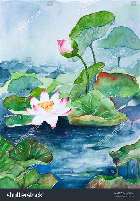 Lotus Watercolor Painting Stock Illustration 142071244 | Shutterstock