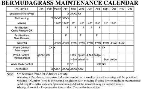 Complete Bermuda Grass Lawn Maintenance Calendar: Year-Round Tips | LawnHelpful.com