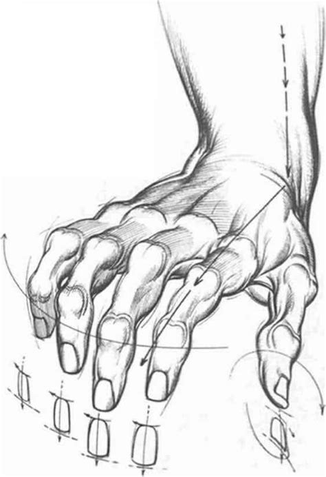 Today's Drawing Class "How to Draw Hands: Hands look complicated to ...