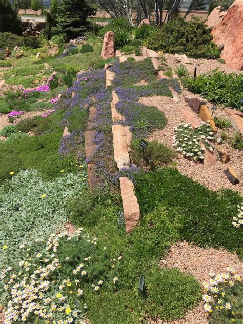 ROCKERIES, TROUGHS, AND CREVICE GARDENS, OH MY! - by Ethne Clarke