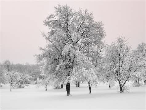 Winter Wonderland Michigan Snow Storm Stock Photo - Image of park ...