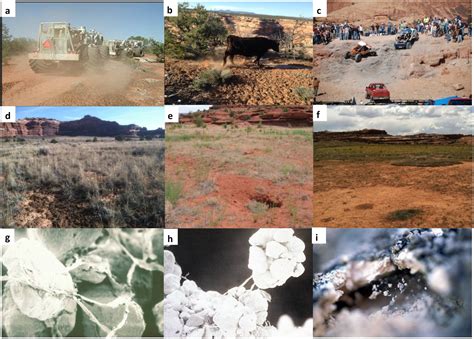 Wind erosion and dust from US drylands: a review of causes ...