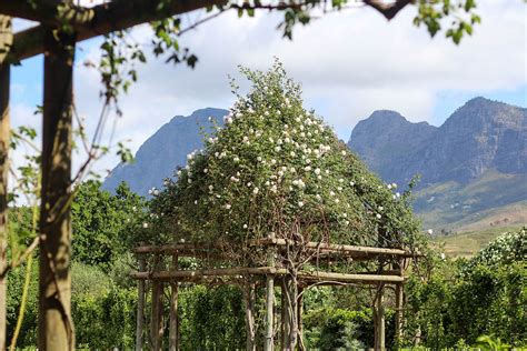 Garden at Babylonstoren - Discover Paarl