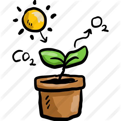 Photosynthesis Clip Art