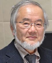 Yoshinori Ohsumi - Elucidating the mechanism of autophagy | Research ...