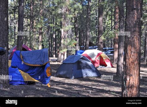 Grand Canyon North Rim Campground 0344 Stock Photo - Alamy