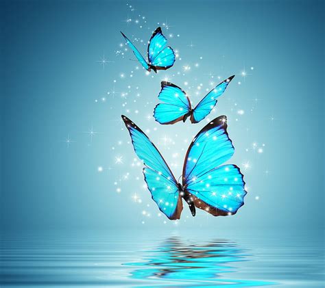 Aggregate 57+ hd butterfly wallpaper super hot - in.cdgdbentre