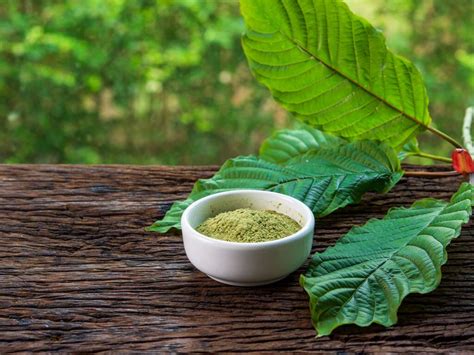 The Do's And Don'ts: Navigating Kratom Consumption And Supplement Interactions - Cliffs Cycle ...