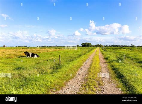 Kolk hi-res stock photography and images - Alamy