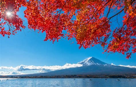 Japan Autumn Wallpapers - Top Free Japan Autumn Backgrounds ...